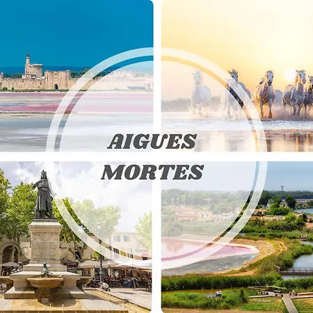 דירה Les Marines Port 2 Min Camargue- Pros Services Conciergerie La Grande Motte