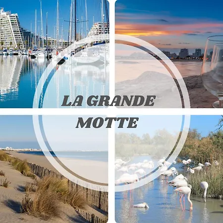 Les Marines Port 2 Min Camargue- Pros Services Conciergerie La Grande Motte דירה