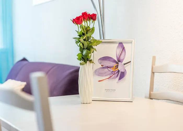Apartamento Les Marines Port 2 Min Camargue- Pros Services Conciergerie La Grande Motte Mauguio