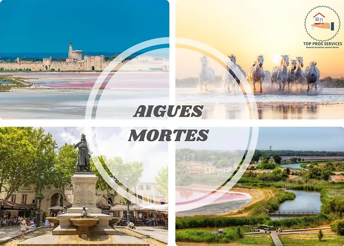 Apartamento Les Marines Port 2 Min Camargue- Pros Services Conciergerie La Grande Motte