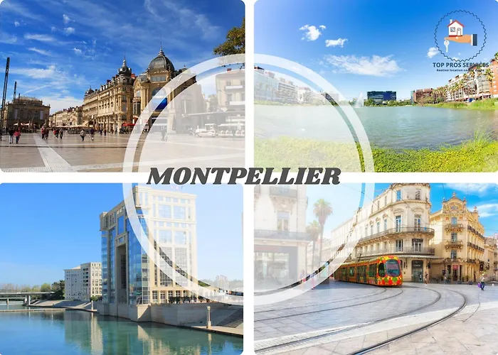 Les Marines Port 2 Min Camargue- Pros Services Conciergerie La Grande Motte *